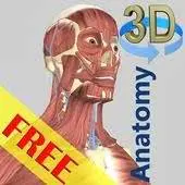3D Anatomy