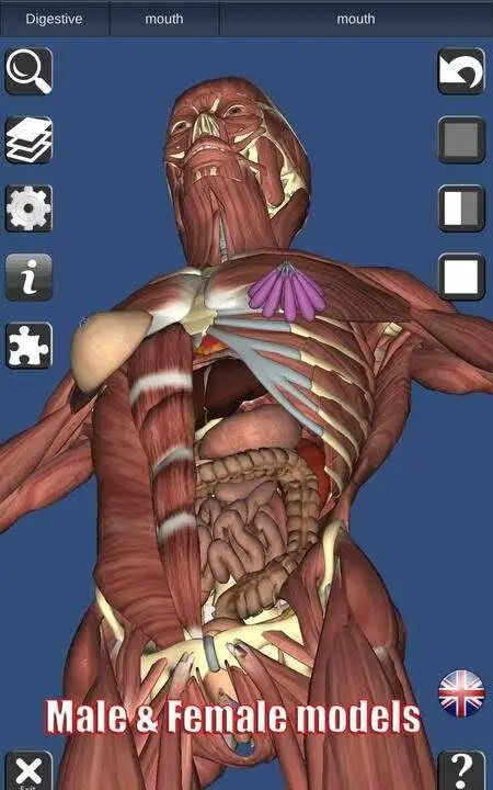3D Anatomy - скриншот 1