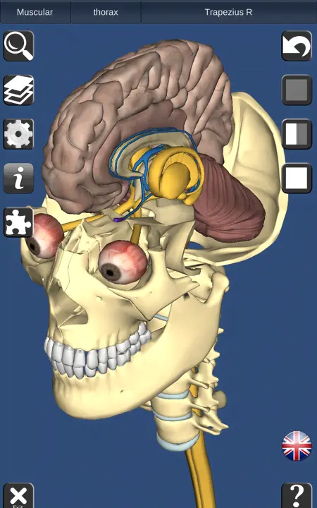 3D Anatomy - скриншот 2