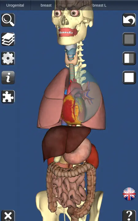 3D Anatomy - скриншот 3