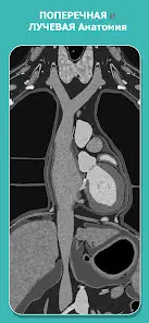 Anatomy Learning - Анатомия 3D - скриншот 2