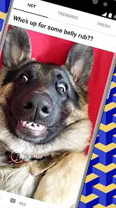 9GAG: Funny GIF, Meme & Video - скриншот 1