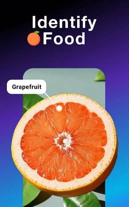 All Scanner: Scan & Identify - скриншот 3