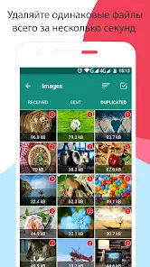 Очиститель для WhatsApp - скриншот 2