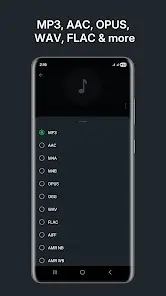 Audio Converter (MP3 AAC OPUS) - скриншот 1