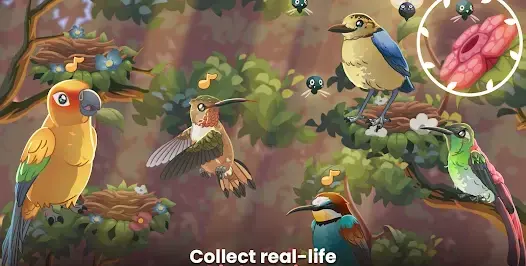 Bird Kind - скриншот 3