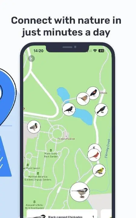 Birda - Birding Made Better - скриншот 4