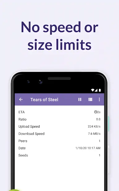 BitTorrent Pro - скриншот 2