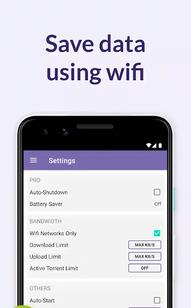 BitTorrent Pro - скриншот 3