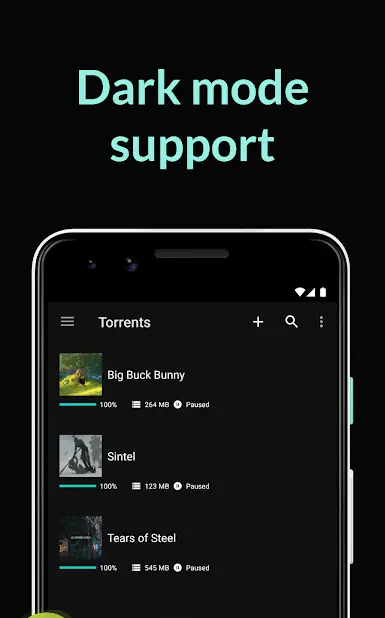 BitTorrent Pro - скриншот 4