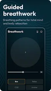 Binaural Beats Brainwaves - скриншот 6