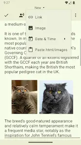 Text Editor - скриншот 3