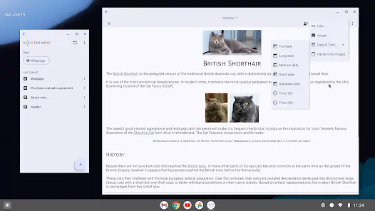 Text Editor - скриншот 10