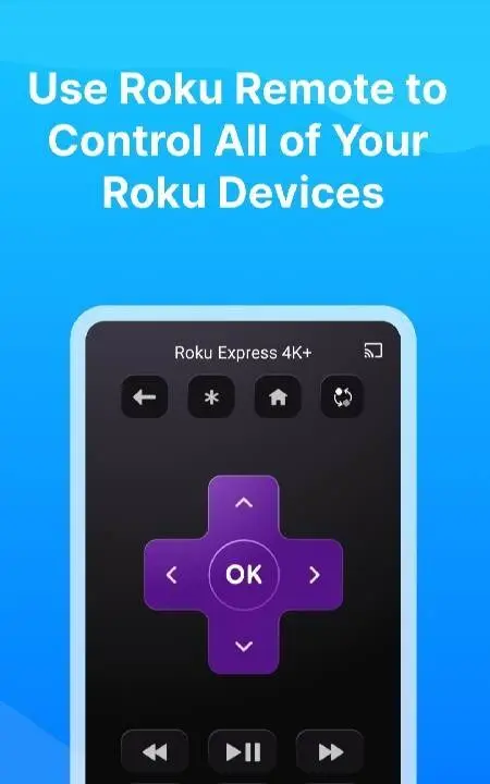 Castly -Roku, Chromecast,DLNA - скриншот 2