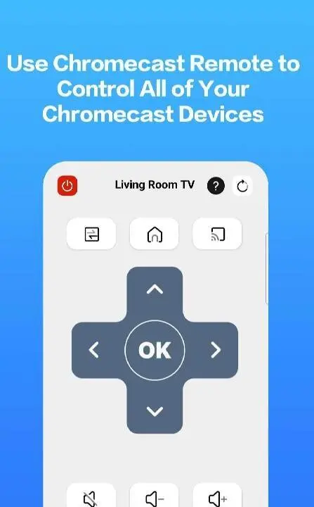 Castly -Roku, Chromecast,DLNA - скриншот 3