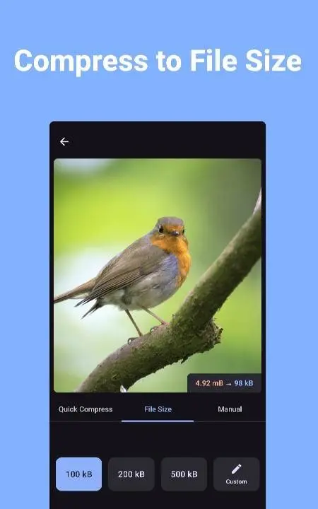 Compress Image - MB to KB - скриншот 2