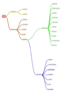 miMind - Easy Mind Mapping - скриншот 7