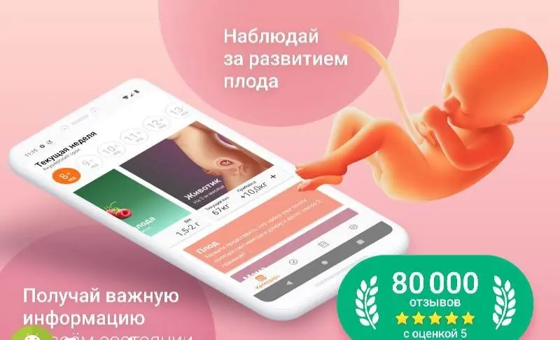 Календарь беременности по дням - скриншот 1