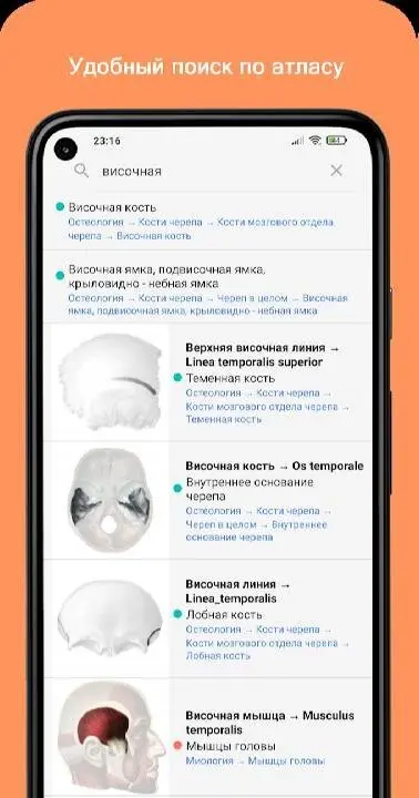 Учи Анат - скриншот 2