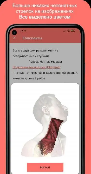 Учи Анат - скриншот 4