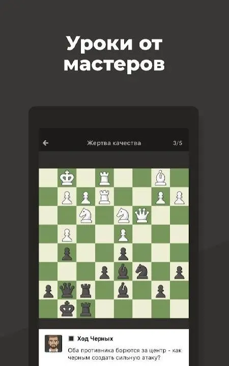 Шахматы · Играйте и учитесь - скриншот 4