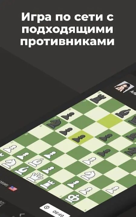 Шахматы · Играйте и учитесь - скриншот 1