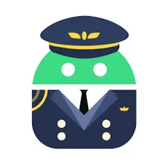 Пилот разрешений