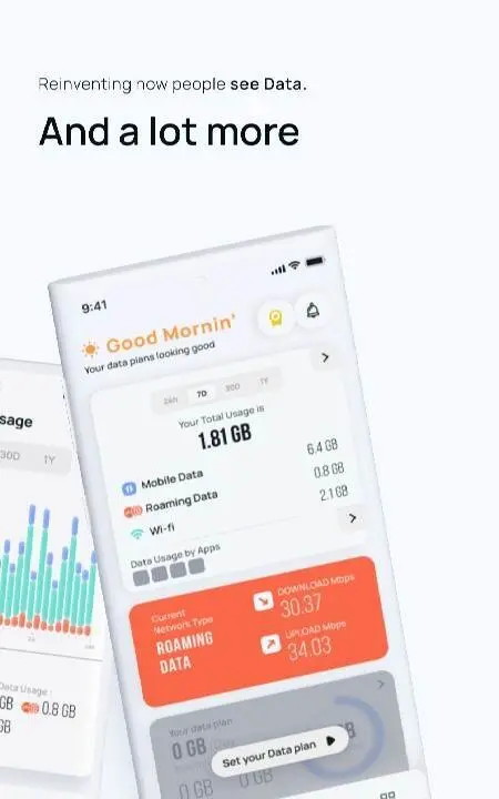 Data Usage Alert - Ryn - скриншот 2