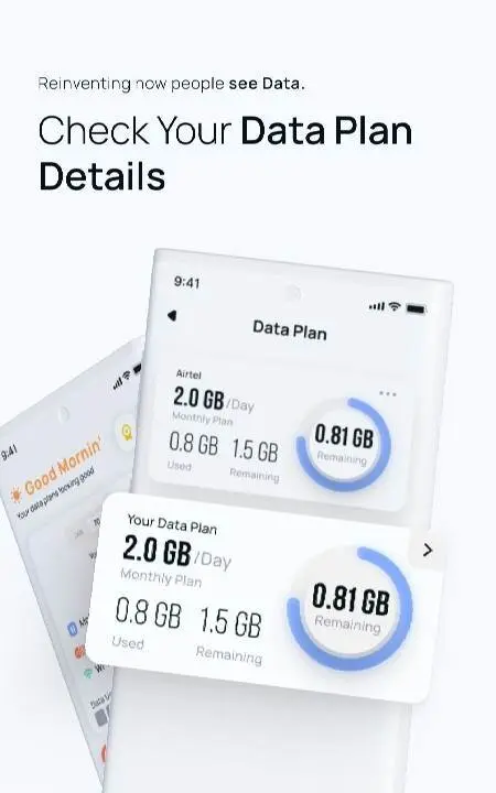 Data Usage Alert - Ryn - скриншот 3