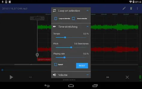 RecForge II Pro: диктофон - скриншот 7