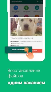 Recycle Master: Kорзина - скриншот 3