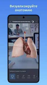VOKA 3D Анатомия человека - скриншот 6