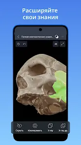VOKA 3D Анатомия человека - скриншот 2