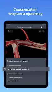 VOKA 3D Анатомия человека - скриншот 12