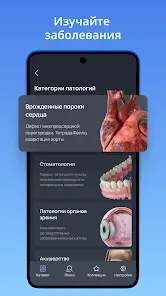 VOKA 3D Анатомия человека - скриншот 1