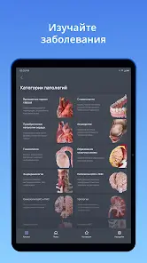 VOKA 3D Анатомия человека - скриншот 9