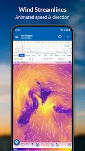 Flowx: Weather Map Forecast - скриншот 5