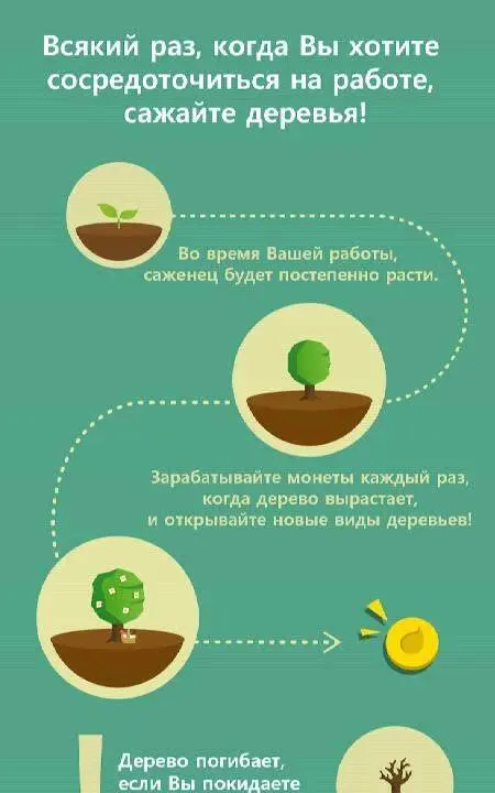 Forest: Stay focused - скриншот 3