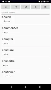 French Verb Blitz Pro - скриншот 1