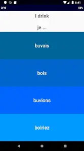 French Verb Blitz Pro - скриншот 3