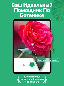 PictureThis растения признать - скриншот 8