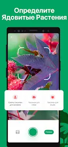 PictureThis растения признать - скриншот 5
