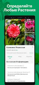 PictureThis растения признать - скриншот 1