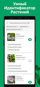 PictureThis растения признать - скриншот 7