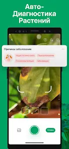 PictureThis растения признать - скриншот 3