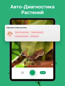 PictureThis растения признать - скриншот 11