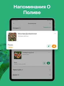 PictureThis растения признать - скриншот 12