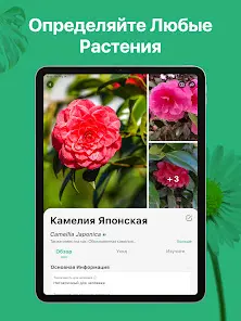 PictureThis растения признать - скриншот 9