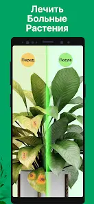 PictureThis растения признать - скриншот 6