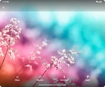 HDQWALLS 4k Wallpapers - скриншот 10